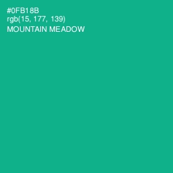 #0FB18B - Mountain Meadow Color Image